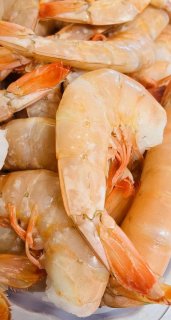 shrimp